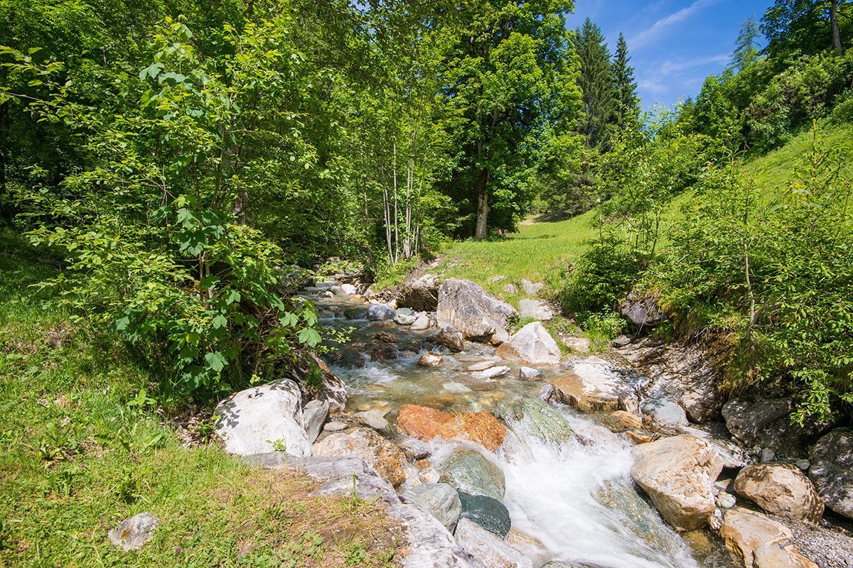 Grillplatz am Bach - Jugendhotel & Jugendherberge in Salzburg